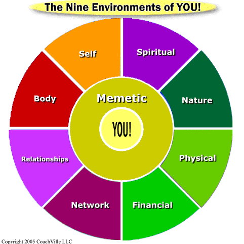 Article: The Nine Environments of You